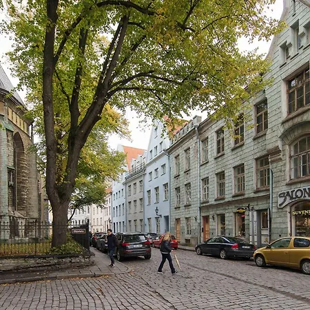 Old Town Next St Olav's Church And Tower アパート *