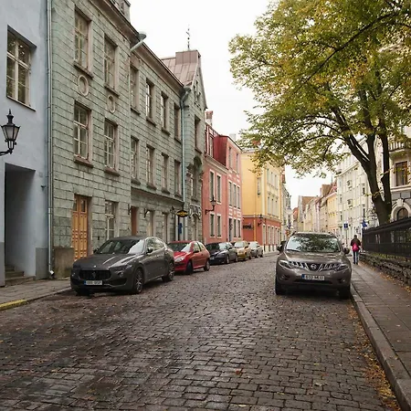 Old Town Next St Olav's Church And Tower