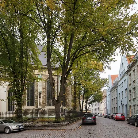 Old Town Next St Olav's Church And Tower *